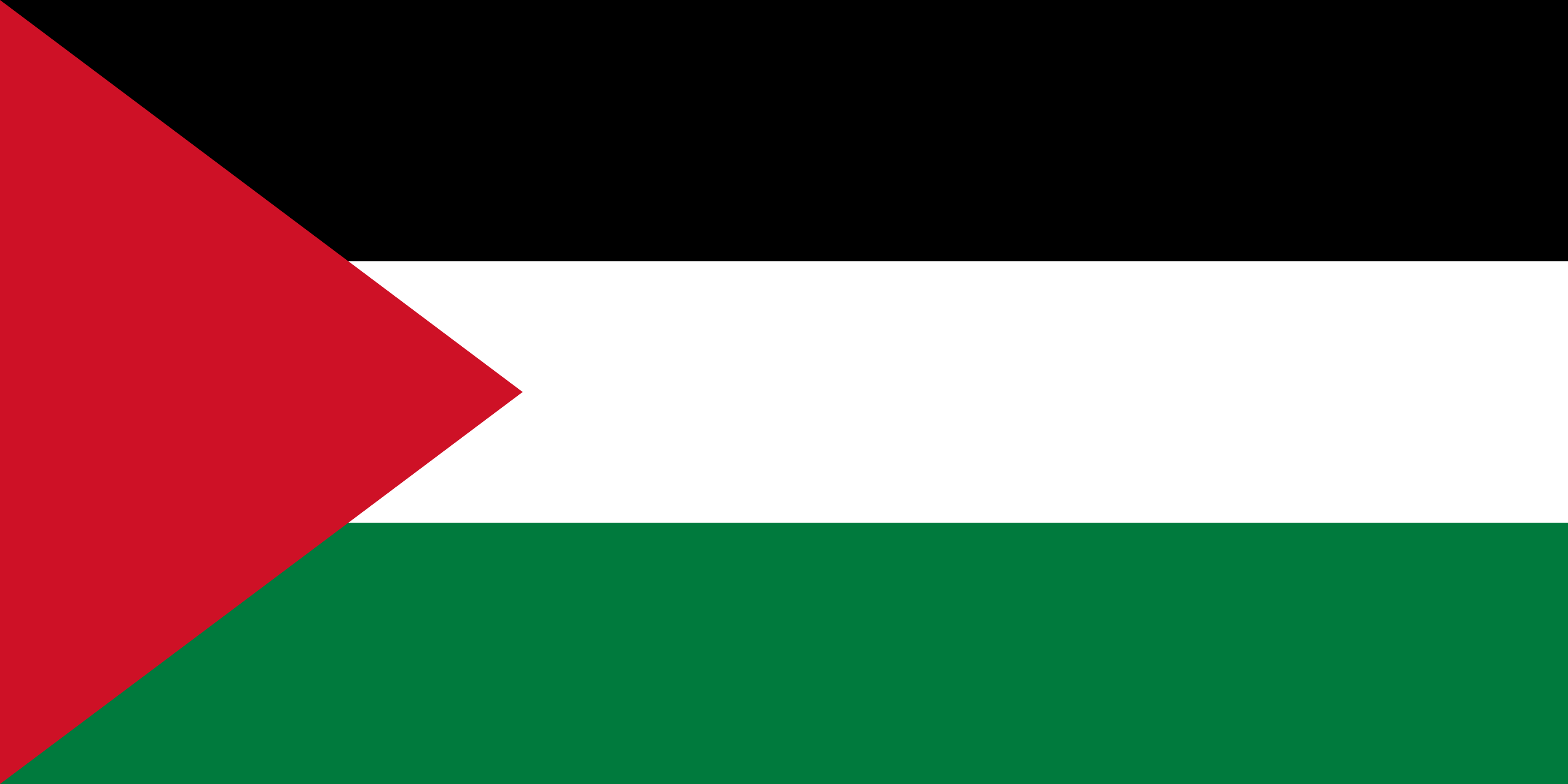 Flag-of-Palestine